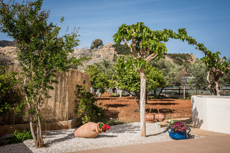 Mear Apartments And Studios Gialos  Εξωτερικό φωτογραφία